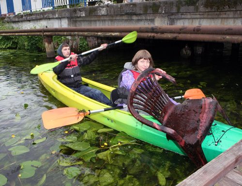 WDA – poznaje i dbam o jej piękno