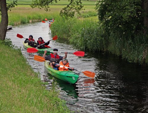 WDA – poznaje i dbam o jej piękno