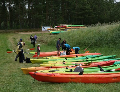 WDA – poznaje i dbam o jej piękno