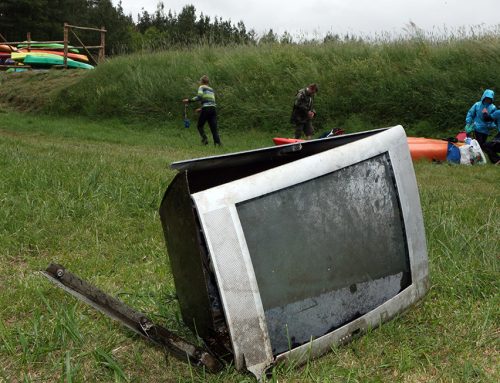 WDA – poznaje i dbam o jej piękno