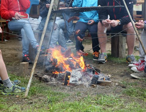 WDA – poznaje i dbam o jej piękno