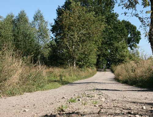 Szlaki piesze Nordic Walking